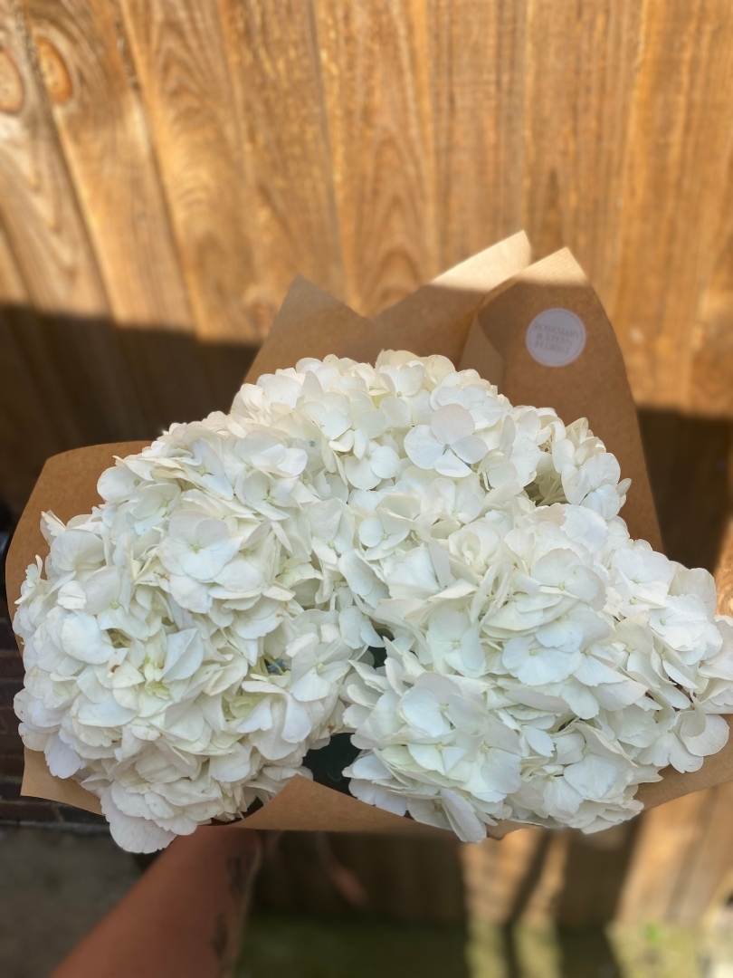 the hydrangea bunch